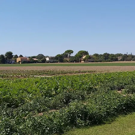Agriturismo San Martino Çiftlik konaklama *