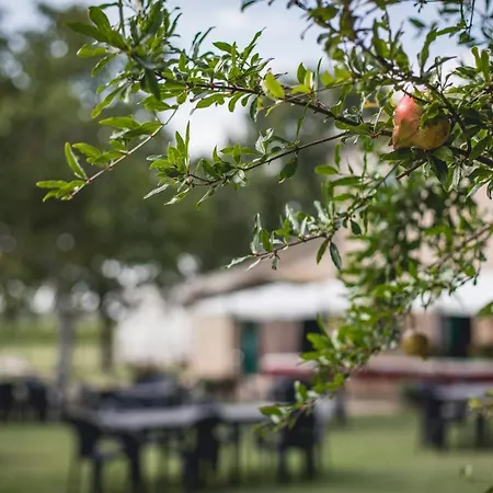 Çiftlik konaklama Agriturismo San Martino *